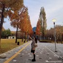 천안시립미술관 | 천안예술의전당 뮤지컬시카고 후기,천안시립미술관 전시