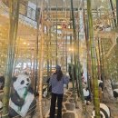 금포로 | [김포 하성] 김포 대형카페 대나무카페 빵맛집 'BAMBOO 뱀부포레스트 카페' 내돈내산 후기