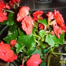 김천보건소 이미지