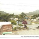 솔숲민박 이미지