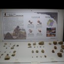 한남대학교 중앙박물관 이미지