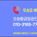 황금알 공인중개사사무소 이미지