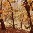 강남보원한의원 이미지