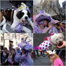Easter Bunny Parade 이미지