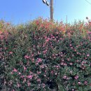 토산보건진료소 이미지