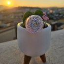 픽아트
