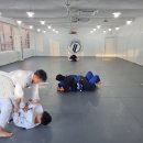 센트럴짐주짓수