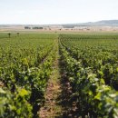 루이농장 이미지