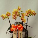 산본로324번길 이미지