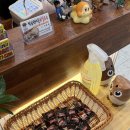 박승광해물손칼국수경기광주점 | [경기광주칼국수] 박승광해물손칼국수 - 조개얼큰장칼국수, 크림콩국수 후기