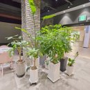 최고스크린골프 이미지