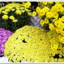 연원시장 화장실 이미지