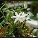 안홍태농장 이미지