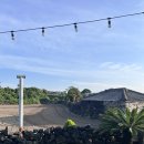 제주도 돌집 삼다헌 한동점 | 제주여행 제주숙소 제주도돌집삼다헌 한동점