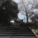 우약정 매점 이미지