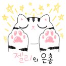 은빛동물병원 이미지