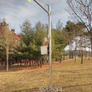 천안종합휴양지 이미지