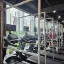 바디피트니스존 이미지