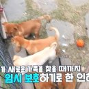 인혜농장 이미지