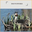 치아살리기 드림365치과의원 이미지