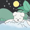 요미살롱 이미지