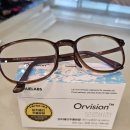 오르비 | 트루랩스 오르비전 후기 비문증 고민하다 먹는 안약 느낌으로 시작