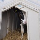 데일리목장 이미지