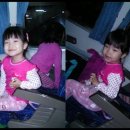 풍기인삼시장 이미지