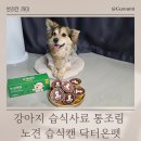 닥터온펫 | 강아지 습식사료 통조림 노견 습식캔 닥터온펫 후기