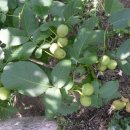 순이네농장 이미지