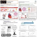 [건강이슈] 주형돈. 마이크로니들 패치 임플란트 이미지