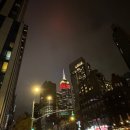 Brown Dog | 뉴욕 스테이크 맛집 Skirt Steak 후기