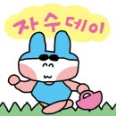 수영-101 이미지