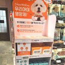 대웅 이미지