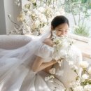 세컨스튜디오 이미지