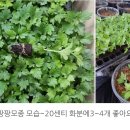 오션블루 이미지