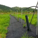 유목농장 이미지