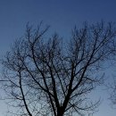 가나농장 이미지