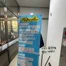 삼층고양이 이미지