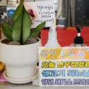 착한정육점 이미지