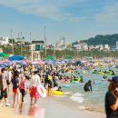 대천해수욕장 미디어오늘