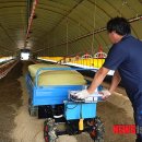 청원사료 이미지