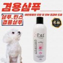 체리쉬