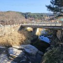 소근리가든 | 가평 상면 애견 동반 식당! 닭볶음탕 리얼 맛집 추천 [소근리가든] 막국수도 같이 먹어요!