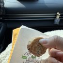 홍동한우 | 뒤늦은 여름휴가 홍성캠핑힐, 야호캠핑용품 그리고 3kg증가