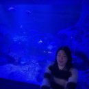 미니스톱 계산점 | 어설픈 전공생의 🇯🇵오사카+도쿄🇯🇵 혼자(?)여행 후기