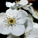 화락고기집 이미지