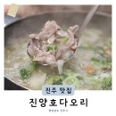 세차하기 좋은날 진주점 | 진주보양식 직장인 맛집 진양호다오리 고기 듬뿍 오리탕 후기