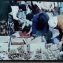 금산수삼시장(주) 이미지
