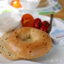 올리브낭 이미지